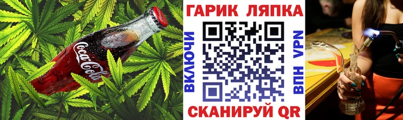 Cannafood конопля  Купить где  Алзамай 