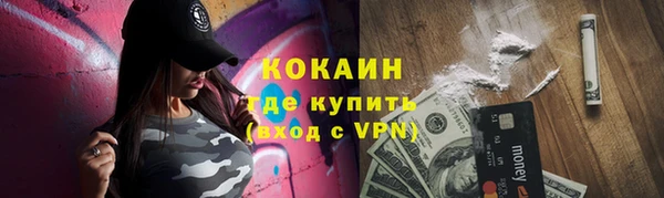 ПСИЛОЦИБИНОВЫЕ ГРИБЫ Ладушкин