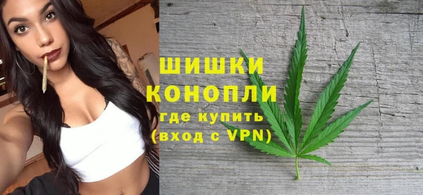ПСИЛОЦИБИНОВЫЕ ГРИБЫ Ладушкин